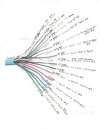 wire color code with pinoutss.jpg